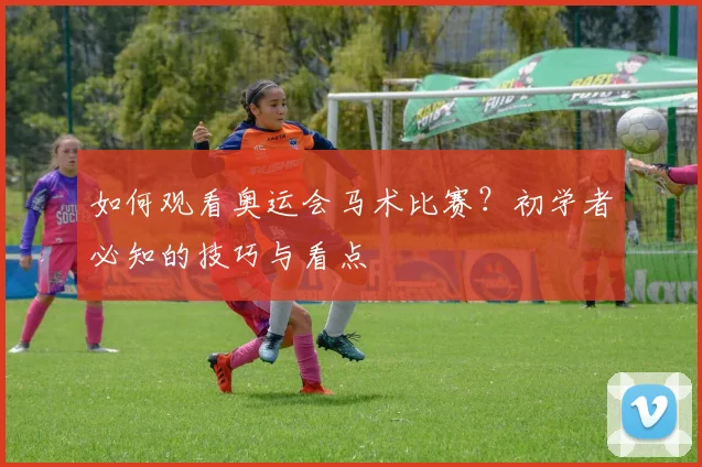 如何观看奥运会马术比赛？初学者必知的技巧与看点