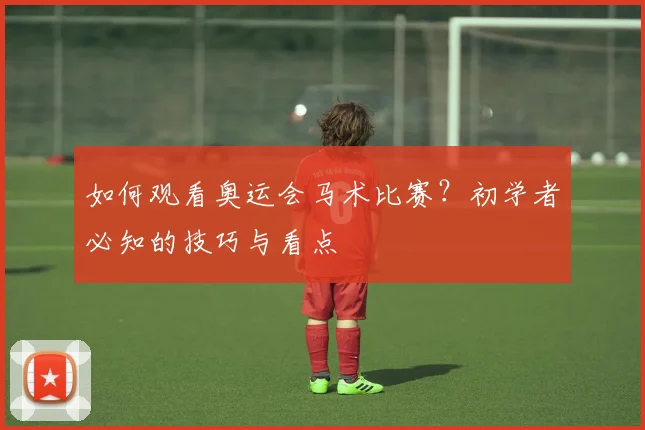 如何观看奥运会马术比赛?初学者必知的技巧与看点